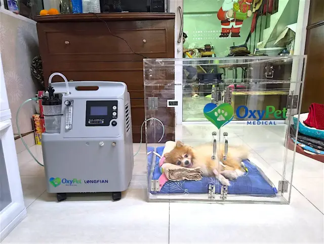 รีวิวจากลูกค้า OxyPet Medical ตู้พักฟื้นออกซิเจนติดตั้งที่บ้าน ภาพที่ 1