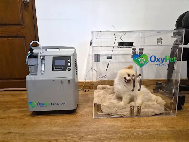 รีวิวจากลูกค้า OxyPet Medical ตู้พักฟื้นออกซิเจนติดตั้งที่บ้าน ภาพที่ 2