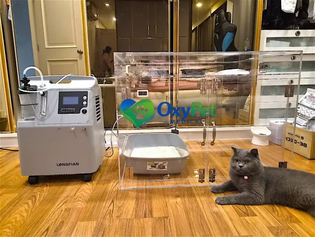 รีวิวจากลูกค้า OxyPet Medical ตู้พักฟื้นออกซิเจนติดตั้งที่บ้าน ภาพที่ 3