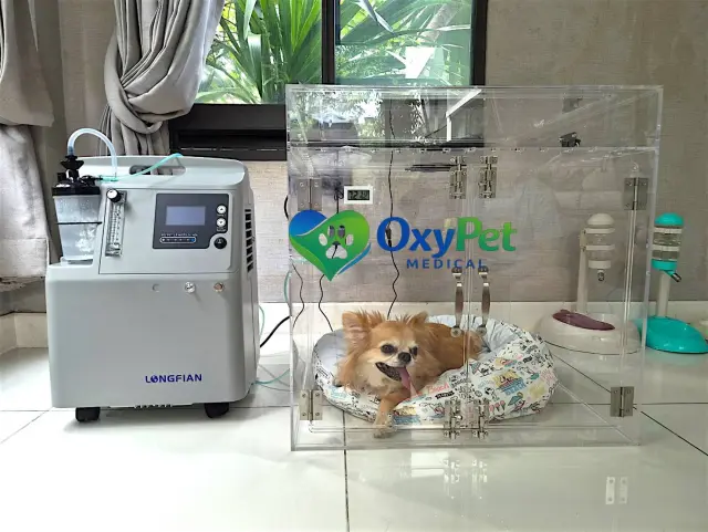 รีวิวจากลูกค้า OxyPet Medical ตู้พักฟื้นออกซิเจนติดตั้งที่บ้าน ภาพที่ 4