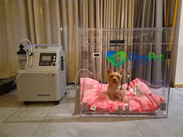 รีวิวจากลูกค้า OxyPet Medical ตู้พักฟื้นออกซิเจนติดตั้งที่บ้าน ภาพที่ 5