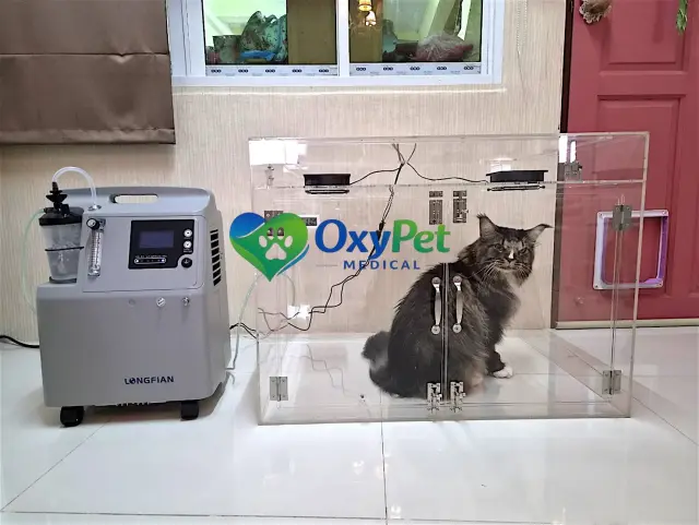 รีวิวจากลูกค้า OxyPet Medical ตู้พักฟื้นออกซิเจนติดตั้งที่บ้าน ภาพที่ 6