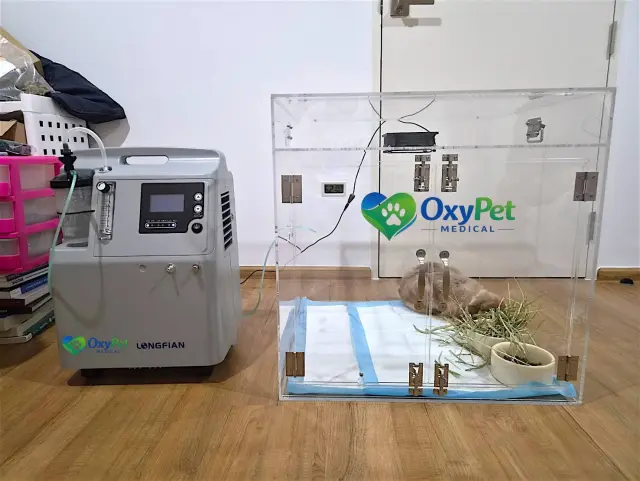 รีวิวจากลูกค้า OxyPet Medical ตู้พักฟื้นออกซิเจนติดตั้งที่บ้าน ภาพที่ 7