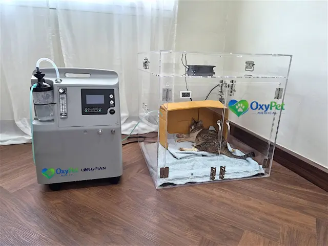 รีวิวจากลูกค้า OxyPet Medical ตู้พักฟื้นออกซิเจนติดตั้งที่บ้าน ภาพที่ 9